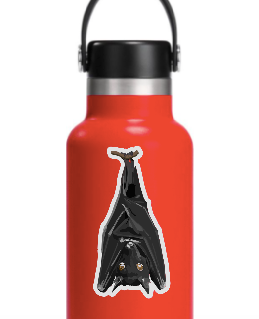 Hanging Bat Portrait